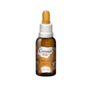 Floral comunicação infantil 37ml Cromo Florais - Farmácia Mottin